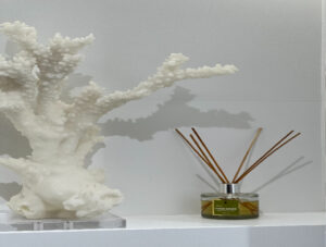 Renovation company in Dubai | Just Spectrum | Renovation Services UAE